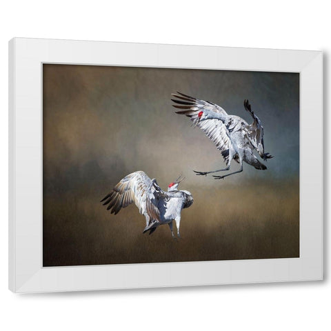 Sandhill Cranes White Modern Wood Framed Art Print by McFerrin, Larry