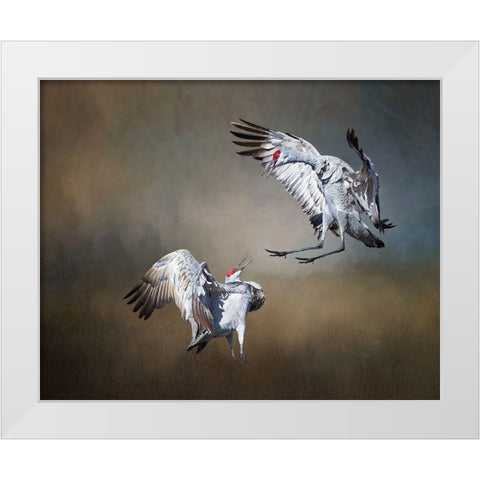 Sandhill Cranes White Modern Wood Framed Art Print by McFerrin, Larry