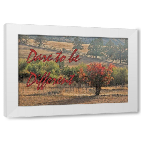 Dare to be Different White Modern Wood Framed Art Print by McFerrin, Larry