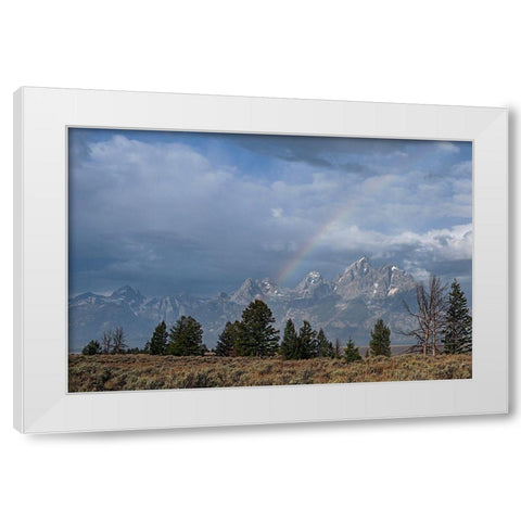 Teton Rainbow White Modern Wood Framed Art Print by McFerrin, Larry