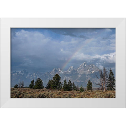 Teton Rainbow White Modern Wood Framed Art Print by McFerrin, Larry