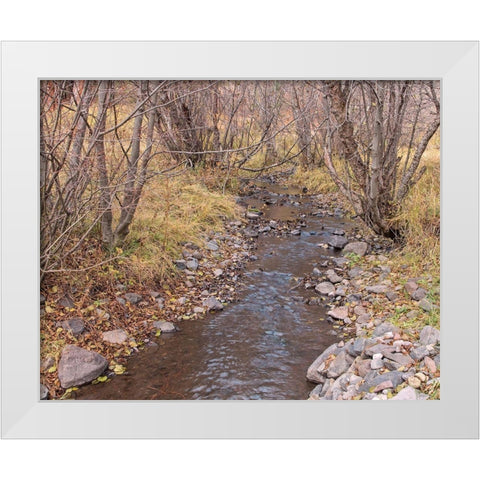 Ochoco Creek White Modern Wood Framed Art Print by McFerrin, Larry