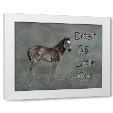 Dream Big White Modern Wood Framed Art Print by McFerrin, Larry