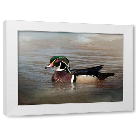 Wood Duck White Modern Wood Framed Art Print by McFerrin, Larry