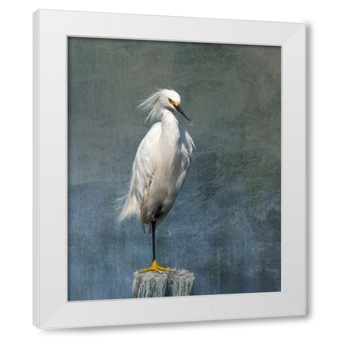 Snow Egret White Modern Wood Framed Art Print by McFerrin, Larry