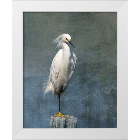 Snow Egret White Modern Wood Framed Art Print by McFerrin, Larry