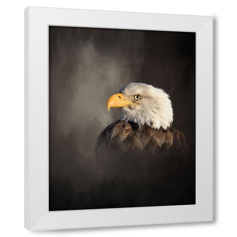 Bald Eagle White Modern Wood Framed Art Print by McFerrin, Larry