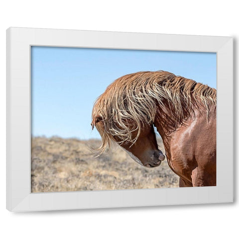 Marshall - Wild Stallion White Modern Wood Framed Art Print by McFerrin, Larry