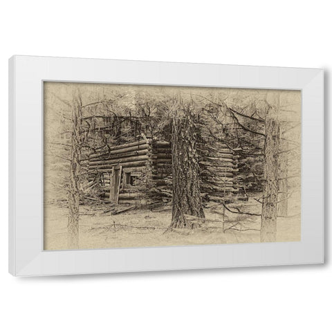 Cabin in the Woods White Modern Wood Framed Art Print by McFerrin, Larry
