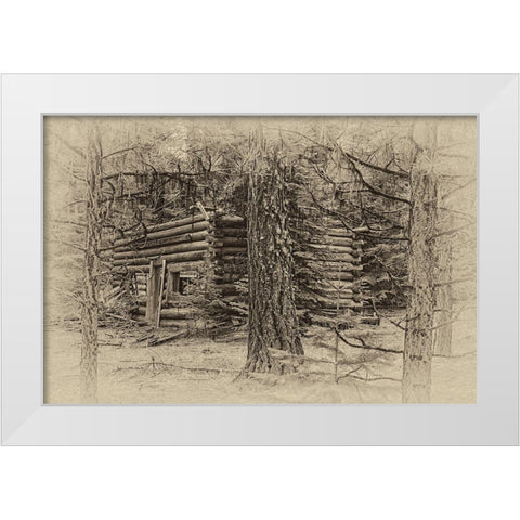 Cabin in the Woods White Modern Wood Framed Art Print by McFerrin, Larry