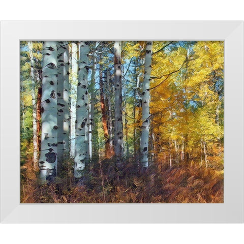 Autumn Aspens White Modern Wood Framed Art Print by McFerrin, Larry
