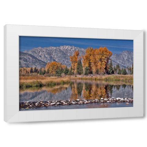 Teton Autumn White Modern Wood Framed Art Print by McFerrin, Larry