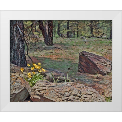 Mules Ears in Forest White Modern Wood Framed Art Print by McFerrin, Larry