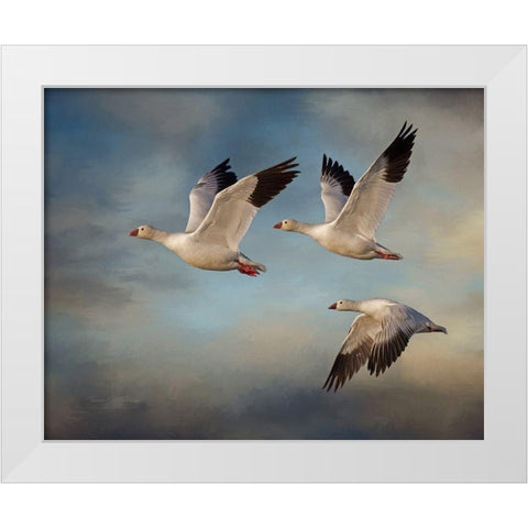 Snow Geese White Modern Wood Framed Art Print by McFerrin, Larry
