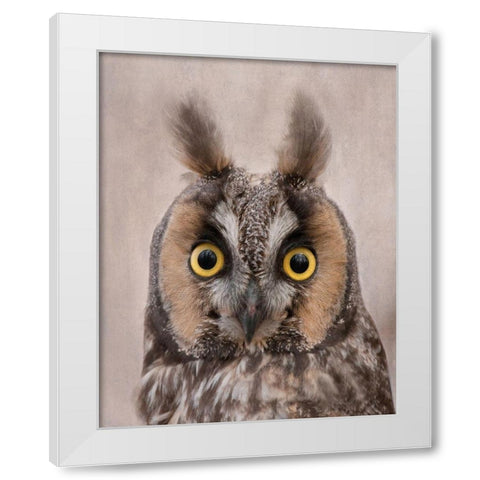 Long-Eared Owl White Modern Wood Framed Art Print by McFerrin, Larry