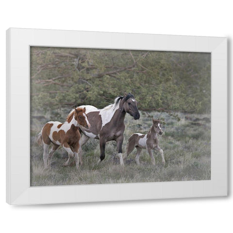 Legend-Aura-and Storm White Modern Wood Framed Art Print by McFerrin, Larry