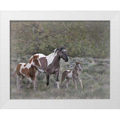 Legend-Aura-and Storm White Modern Wood Framed Art Print by McFerrin, Larry