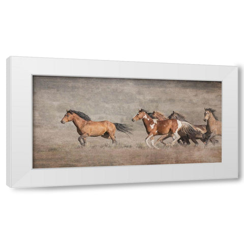 Wild Bachelors White Modern Wood Framed Art Print by McFerrin, Larry