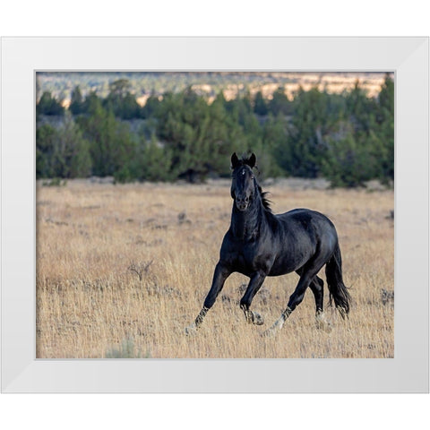 Intense White Modern Wood Framed Art Print by McFerrin, Larry