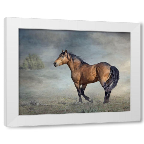 Wicasa White Modern Wood Framed Art Print by McFerrin, Larry