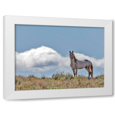 War Chief White Modern Wood Framed Art Print by McFerrin, Larry