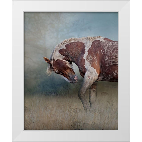 Attitude White Modern Wood Framed Art Print by McFerrin, Larry