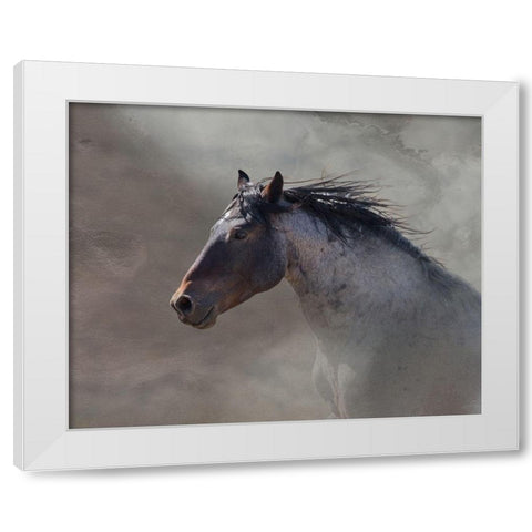 Back Country Roan White Modern Wood Framed Art Print by McFerrin, Larry