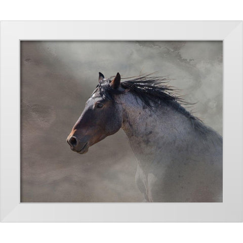 Back Country Roan White Modern Wood Framed Art Print by McFerrin, Larry