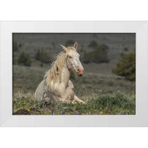 Survivor White Modern Wood Framed Art Print by McFerrin, Larry