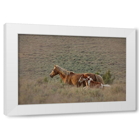 Aztec Band White Modern Wood Framed Art Print by McFerrin, Larry