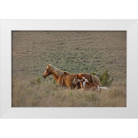 Aztec Band White Modern Wood Framed Art Print by McFerrin, Larry