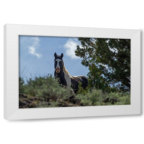 Casino White Modern Wood Framed Art Print by McFerrin, Larry