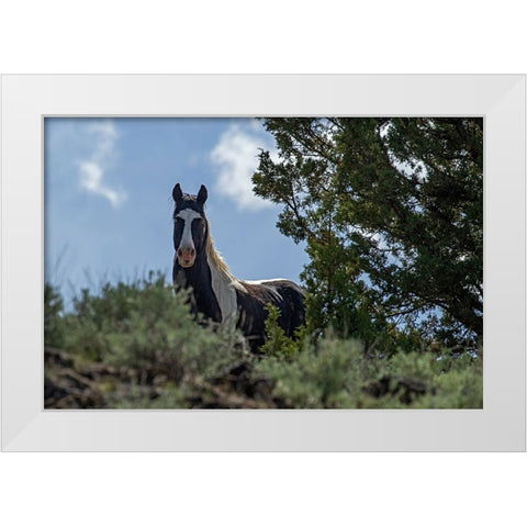 Casino White Modern Wood Framed Art Print by McFerrin, Larry