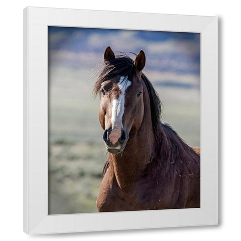 Choctaw White Modern Wood Framed Art Print by McFerrin, Larry