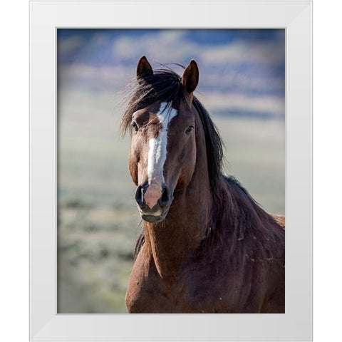 Choctaw White Modern Wood Framed Art Print by McFerrin, Larry