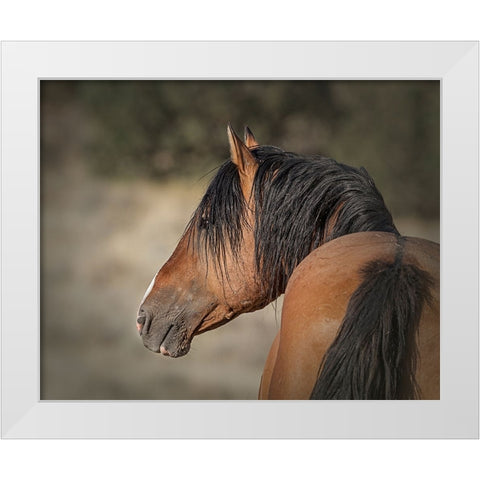 Honor White Modern Wood Framed Art Print by McFerrin, Larry