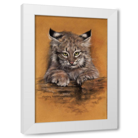 Bobcat White Modern Wood Framed Art Print by Harrison, Lesley