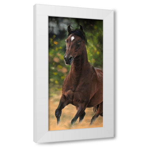 Spirit of Victory White Modern Wood Framed Art Print by Harrison, Lesley