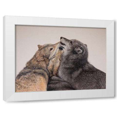 Three Wolves White Modern Wood Framed Art Print by Harrison, Lesley
