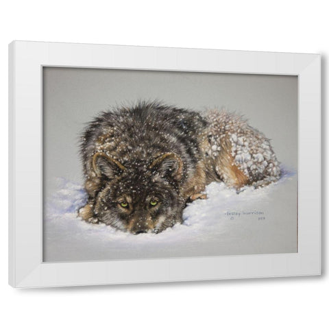 Lone Wolf White Modern Wood Framed Art Print by Harrison, Lesley