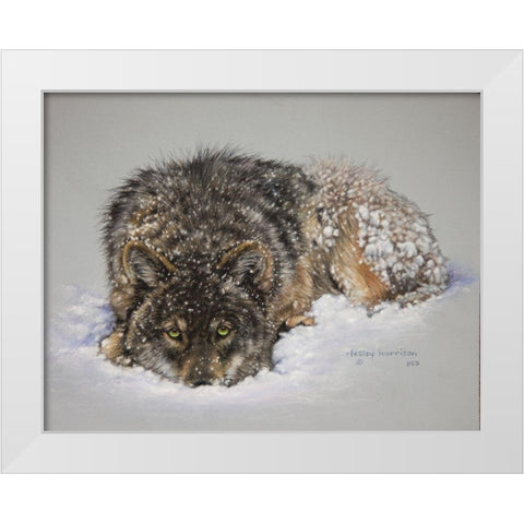 Lone Wolf White Modern Wood Framed Art Print by Harrison, Lesley