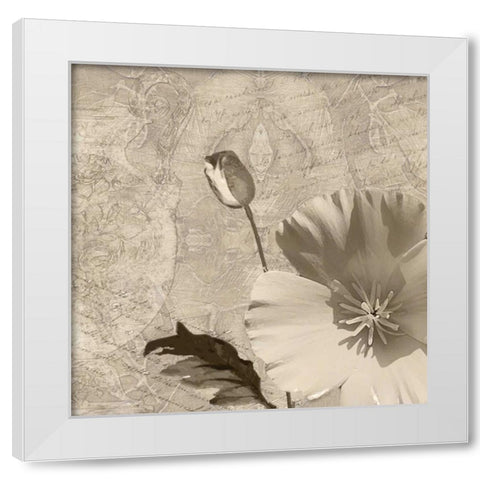 Vintage Rose I White Modern Wood Framed Art Print by Wolk, Lisa