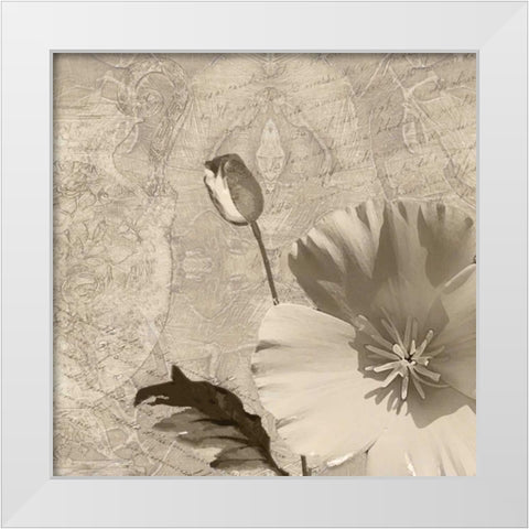 Vintage Rose I White Modern Wood Framed Art Print by Wolk, Lisa