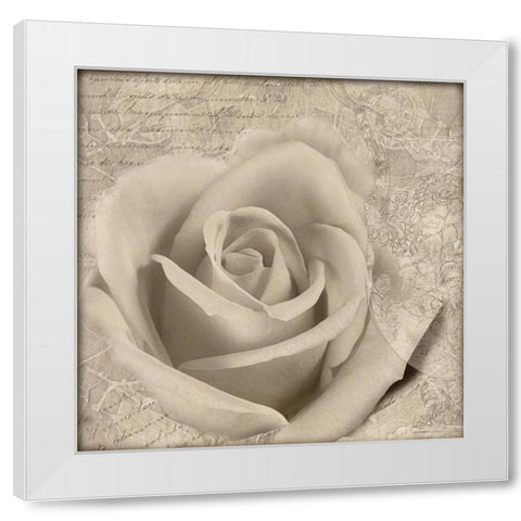 Vintage Rose II White Modern Wood Framed Art Print by Wolk, Lisa