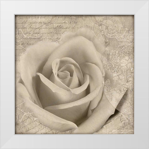 Vintage Rose II White Modern Wood Framed Art Print by Wolk, Lisa