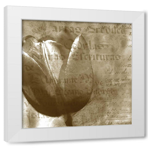 Tulip White Modern Wood Framed Art Print by Wolk, Lisa