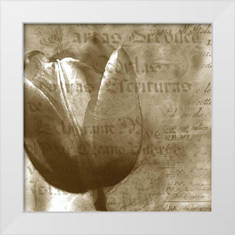 Tulip White Modern Wood Framed Art Print by Wolk, Lisa