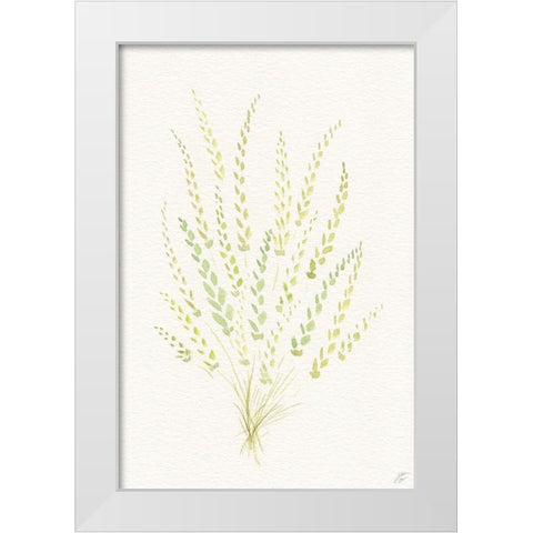 Dried Green Bundle White Modern Wood Framed Art Print by Lee, Judson