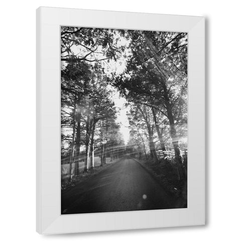 Country Road White Modern Wood Framed Art Print by Lee, Judson
