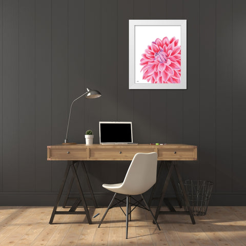 Chrysanthemum White Modern Wood Framed Art Print by Fay, Mela